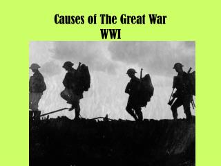 Causes of The Great War WWI