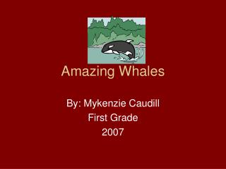 Amazing Whales