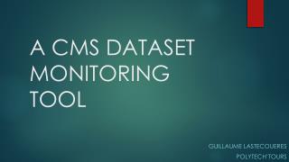 A CMS DATASET MONITORING TOOL