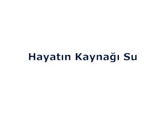 Hayatın Kaynağı Su