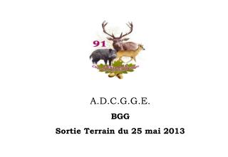 A.D.C.G.G.E. BGG Sortie Terrain du 25 mai 2013
