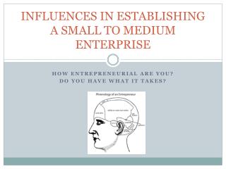 INFLUENCES IN ESTABLISHING A SMALL TO MEDIUM ENTERPRISE