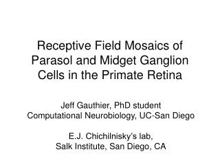 Receptive Field Mosaics of Parasol and Midget Ganglion Cells in the Primate Retina