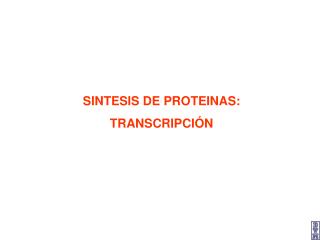 SINTESIS DE PROTEINAS: TRANSCRIPCIÓN