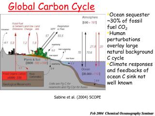 Global Carbon Cycle