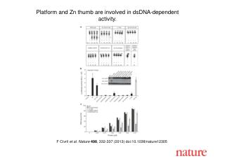 F Civril et al. Nature 498 , 332-337 (2013) doi:10.1038/nature12305