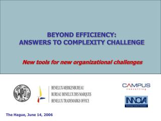 BEYOND EFFICIENCY: ANSWERS TO COMPLEXITY CHALLENGE