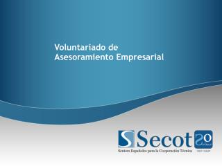 Voluntariado de Asesoramiento Empresarial