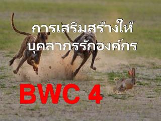 BWC 4