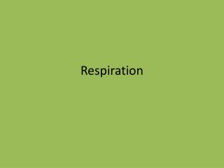 Respiration