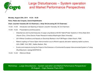 Large Disturbances – System operation and Market Performance Perspectives