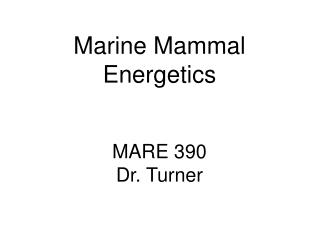 Marine Mammal Energetics MARE 390 Dr. Turner