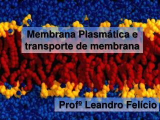 Membrana Plasmática e transporte de membrana