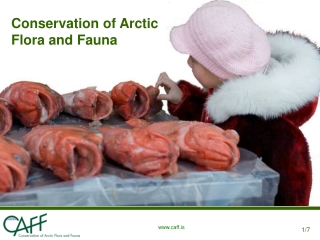 Conservation of Arctic Flora and Fauna