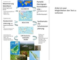 Maximierung Wohlfahrt Global Ag/Forest Sector