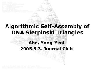 Algorithmic Self-Assembly of DNA Sierpinski Triangles