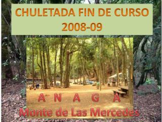 CHULETADA FIN DE CURSO 2008-09