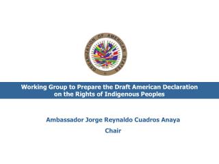 Ambassador Jorge Reynaldo Cuadros Anaya Chair