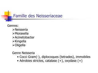 Famille des Neisseriaceae