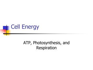 Cell Energy