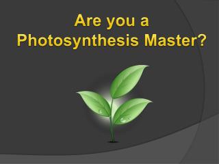 Are you a Photosynthesis Master?