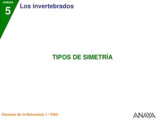 • La simetría puede ser bilateral o radial.