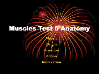 Muscles Test 5 Anatomy