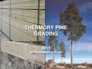 THERMORY PINE GRADING