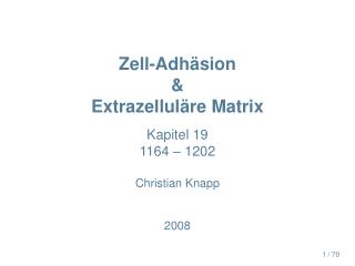 Zell-Adhäsion &amp; Extrazelluläre Matrix
