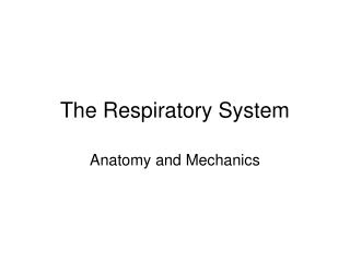 The Respiratory System