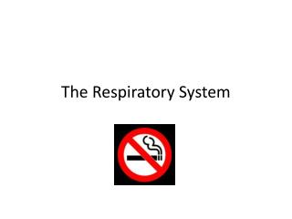 The Respiratory System