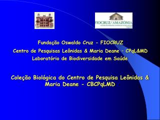 Fundação Oswaldo Cruz - FIOCRUZ