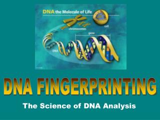 The Science of DNA Analysis