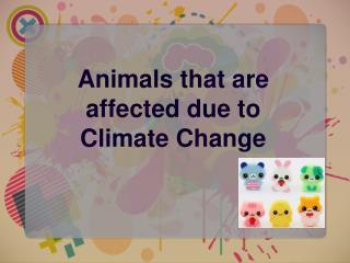 Animals that are affected due to Climate Change