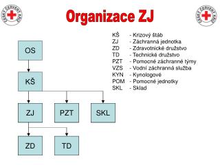 Organizace ZJ