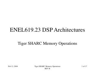 ENEL619.23 DSP Architectures