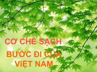 CƠ CHẾ SẠCH