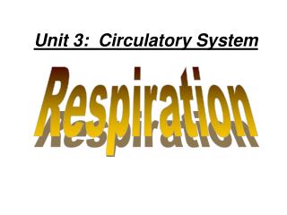 Unit 3: Circulatory System