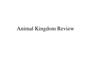 Animal Kingdom Review