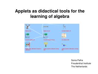 A pplets as didactical tools for the learning of algebra