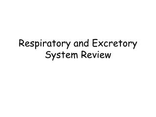 Respiratory and Excretory System Review