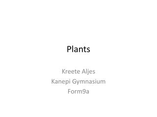 Plants