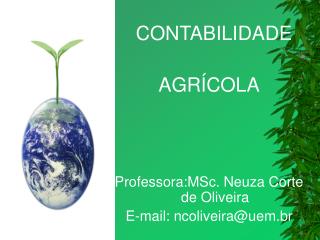 CONTABILIDADE AGRÍCOLA Professora:MSc. Neuza Corte de Oliveira E-mail: ncoliveira@uem.br