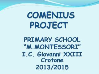 COMENIUS PROJECT