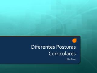 Diferentes Posturas Curriculares