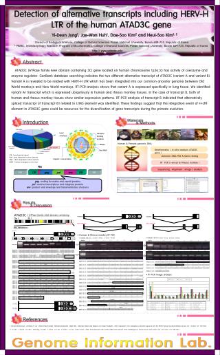 Detection of alternative transcripts including HERV-H LTR of the human ATAD3C gene