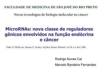 FACULDADE DE MEDICINA DE SÃO JOSÉ DO RIO PRETO Novas tecnologias de biologia molecular no câncer