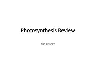 Photosynthesis Review