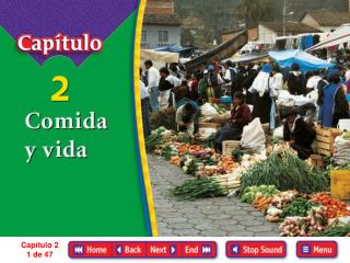 Capítulo 2 1 de 47