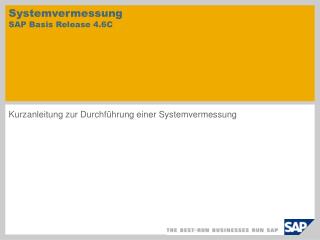 Systemvermessung SAP Basis Release 4.6C